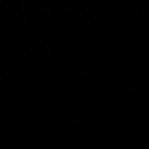 Meet your Posher, Jolie